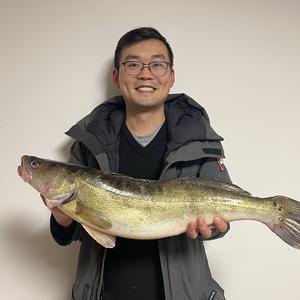 杰瑞在德国 头像