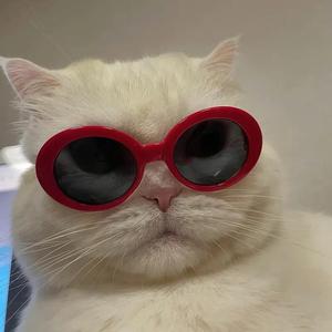 琪三角洲行动 头像