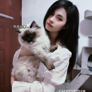 柒柒沫宝儿 头像