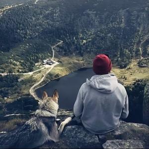 你我山巅自相逢cP63 头像