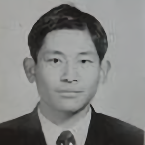 孤岛独木