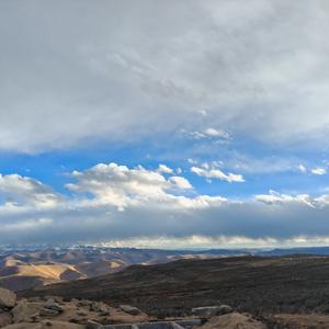 办公室绿植管理员 头像
