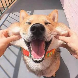 伊伊故事生活 头像