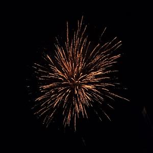 爱养生的荔枝 头像