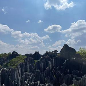 峡谷闲适游赏的客 头像