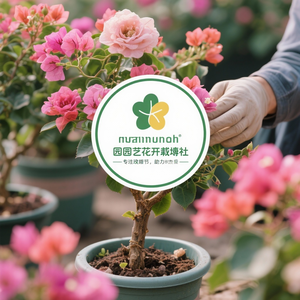 园艺花卉栽培社 头像