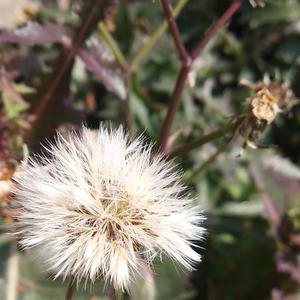 豆豆怡的情感音乐 头像