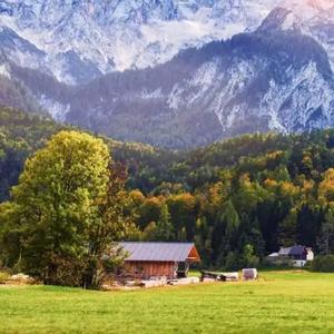 一句顶一句 头像