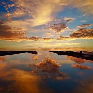 南北东西随想 头像