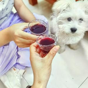 土豆炖洋芋 头像