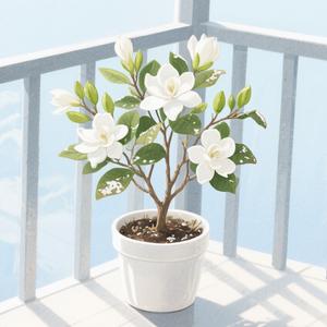 知识大爆炸 头像