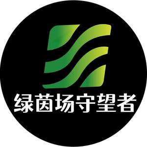 绿茵场守望者头像