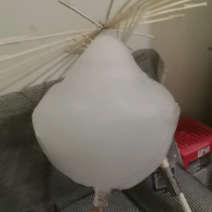 2元棉花糖 头像