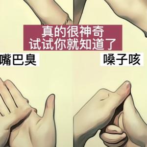 海棠沐春风 头像