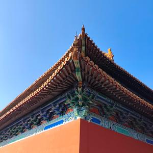 追梦的文件 头像