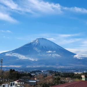 丽丽日本东京头像