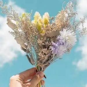 守望春暖花开1