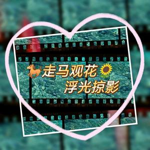 浮光掠影视频 头像