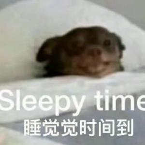 鲨鱼队长aaaa 头像