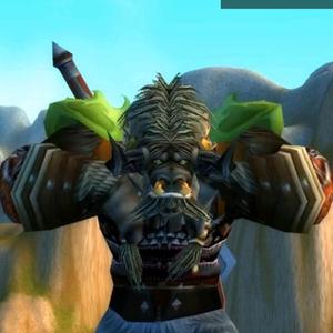 魔兽老铁牛 头像