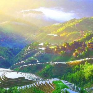 桂林旅游和我的攻略 头像