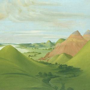 热闹鲸鱼QQ 头像