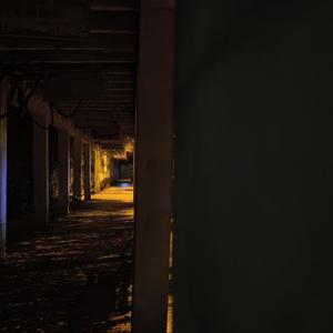 春阳食三月. 头像