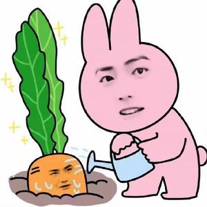 匪姐聊兔猪 头像