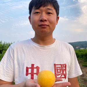 沂蒙山华子 头像