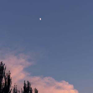 T最亮的星L 头像