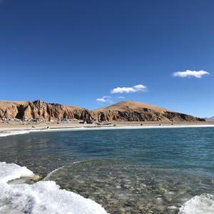 英语和翻译实践者 头像