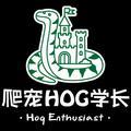 爬宠Hog学长头像