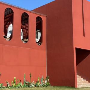 自由橙子Z2 头像