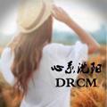 心系沈阳 头像