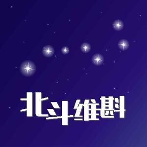 北斗维斟 头像