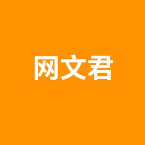 网文君1头像