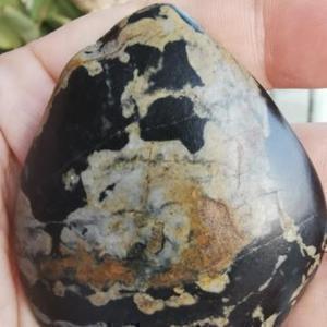 王中王组合