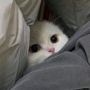 用户9895646045351 头像