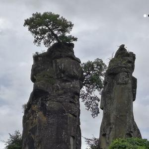 烟雨平生jzx 头像