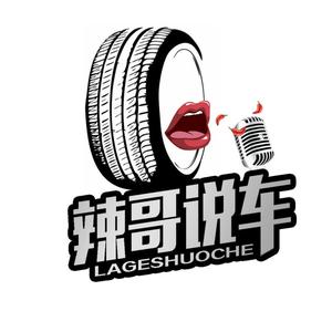 辣哥说车 头像