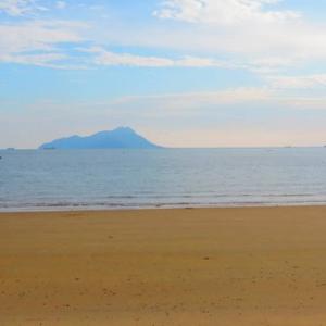 开老虎的小猴子 头像