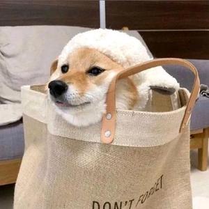 君可愿孤独终老 头像