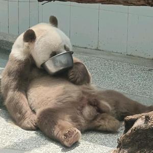 羡仙三国杀 头像