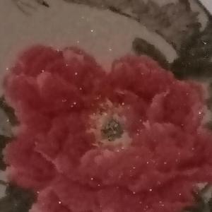 中国关中金鸡 头像