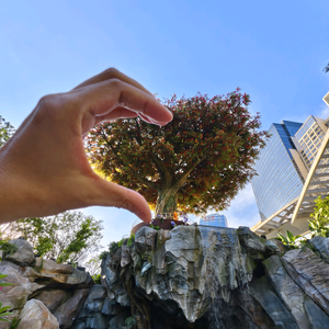 九九七五叁 头像