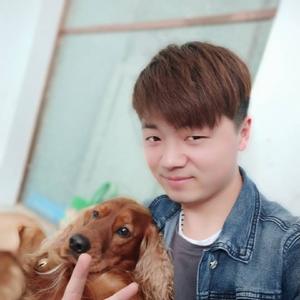 小飞训萌宠
