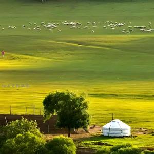 沧海桑田世间事 头像