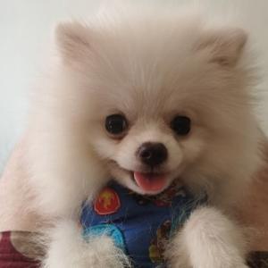 神仙鬼见愁 头像