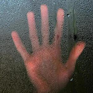 焦点知识分享官 头像