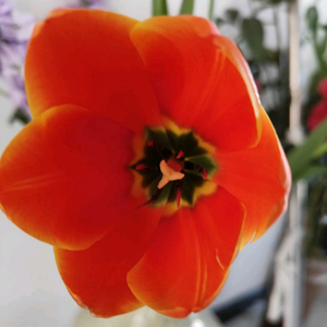 菲姐的退休生活 头像